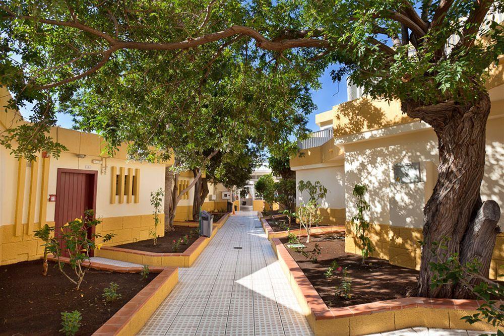 Apartamentos Plataneras Los Cristianos  Exterior foto